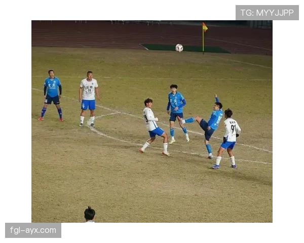 激战正酣！最新足球杯赛精彩瞬间引爆球迷热议