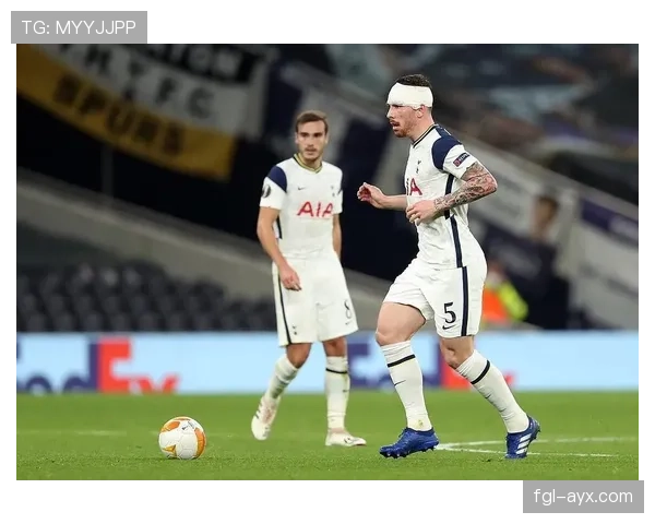 霍伊别尔风格分析